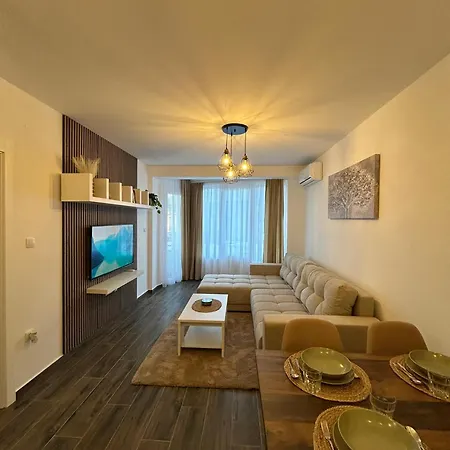 Apartment Zgonjanin Silver
