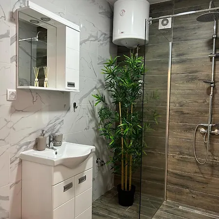 Apartment Zgonjanin Silver *