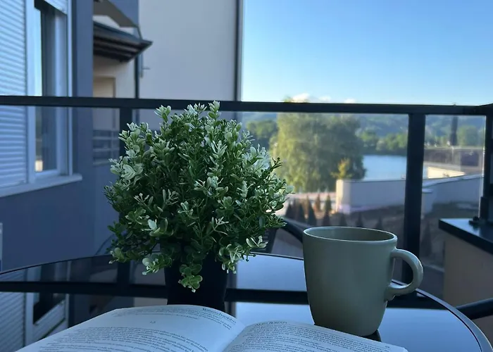 Zgonjanin Silver Daire *