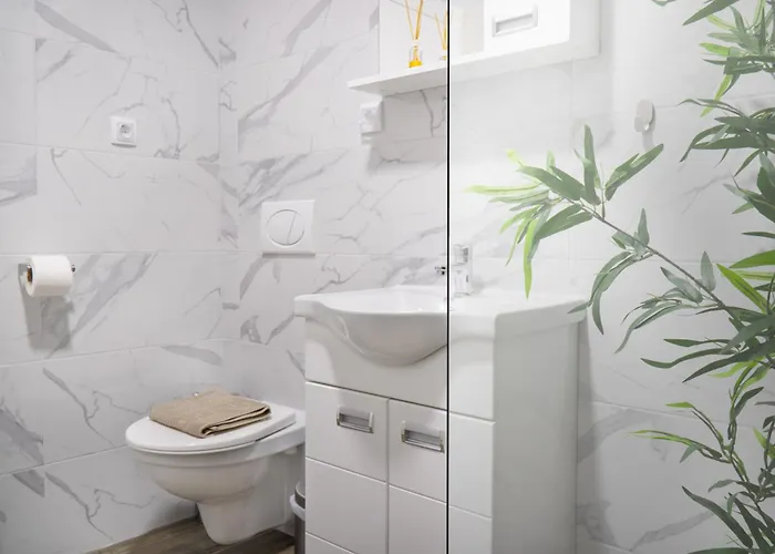 Zgonjanin Silver Daire *