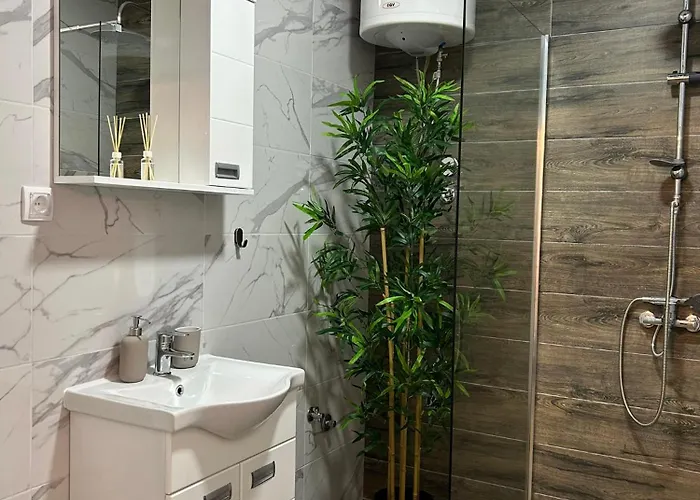 Daire Zgonjanin Silver *